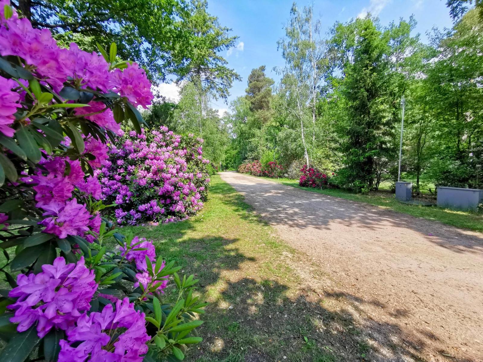 Scandinavian Lodges Holten Esterno foto